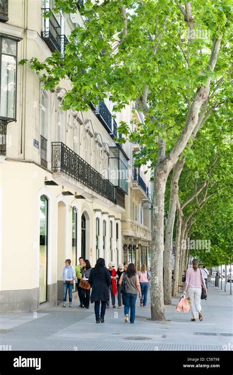 calle de serrano salamanca.